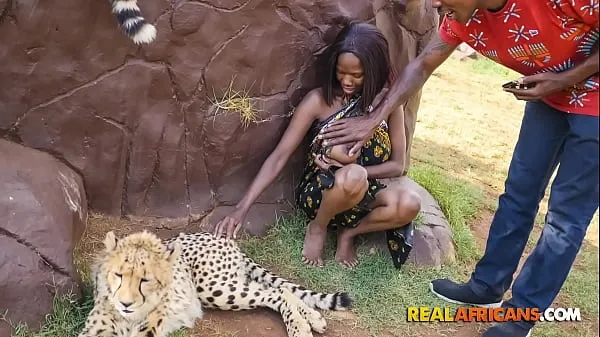 Meilleur Sexe de voiture africaine sauvage dans le parc safaritube sympa