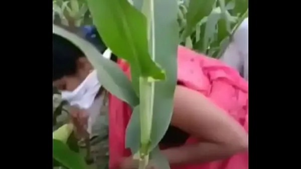 Indian village Bhabhi sex in farm Tube keren terbaik