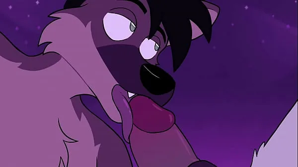 Lobo peludo comiendo pájaro gay en la playa